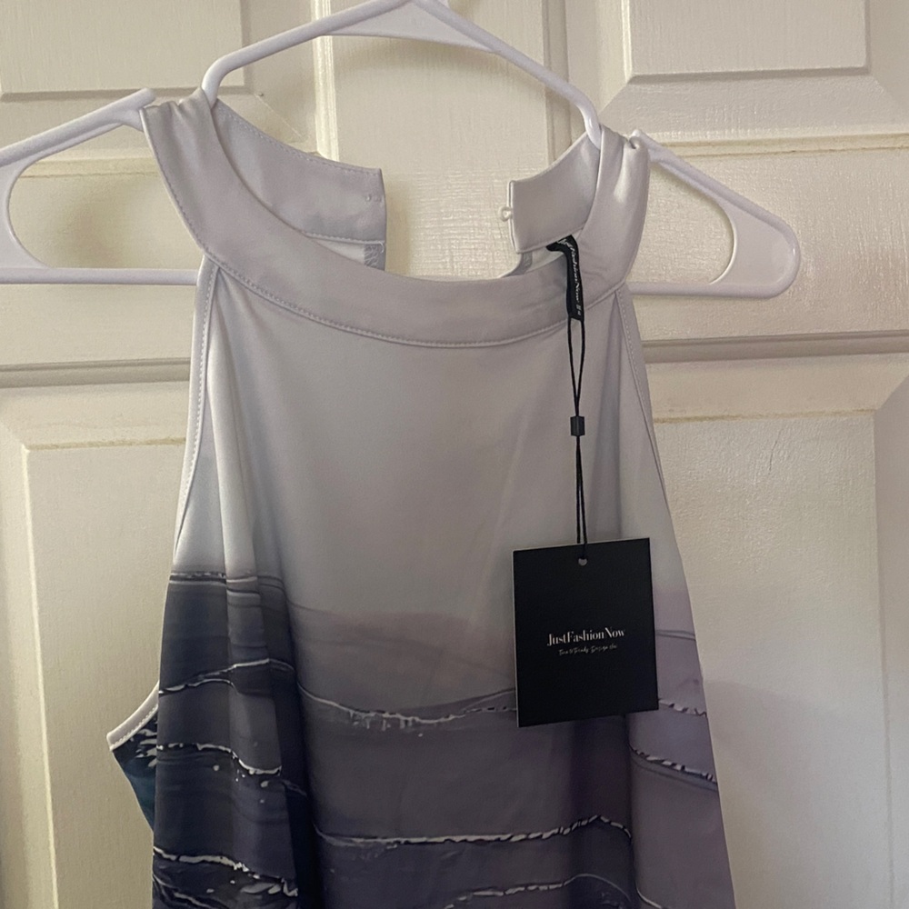 Elegant Blue and White Sleeveless Dress - Picture 3 of 5